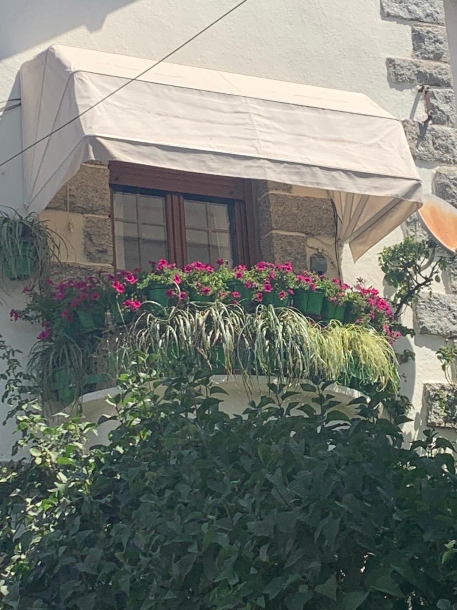 塞尔塞迪利亚El Balcon De Araceli公寓 外观 照片